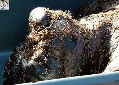 bloted-20fucker-20-281-29.jpg