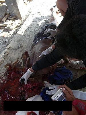 1455984_182107598650666_83904693_n.jpg