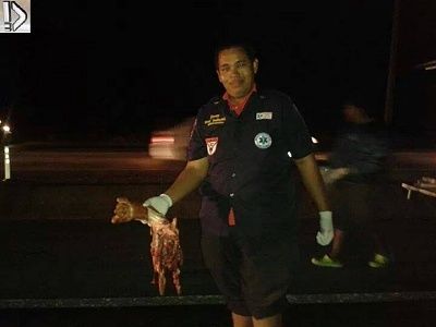 pointers-20and-20corpse-20-282-29.jpg