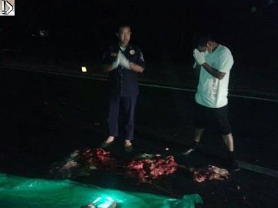 pointers-20and-20corpse-20-284-29.jpg