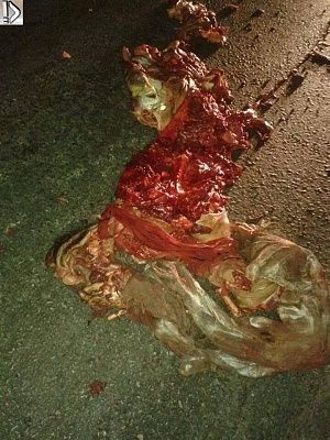 pointers-20and-20corpse-20-283-29.jpg