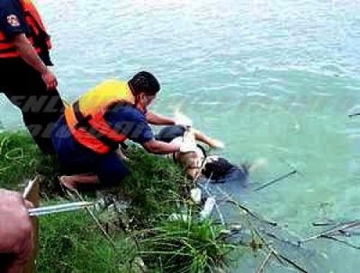 drown236_3.jpg