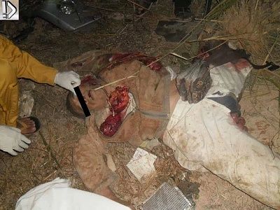 mangled-20man-20-287-29.jpg