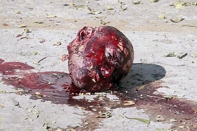 head2.jpg