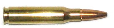308_Winchester.jpg