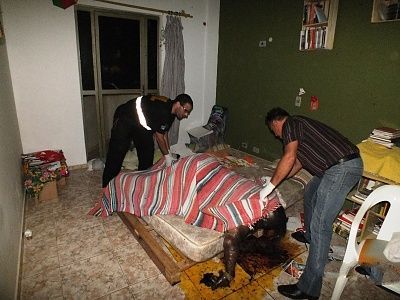 3852-06856686ea28dce612962bb43be457cc.jpg