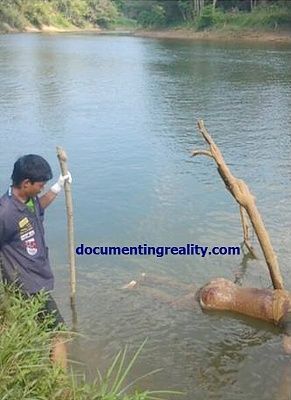 waterrr11.jpg
