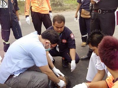 old-20lady-20dead-20in-20road-20-286-29.jpg