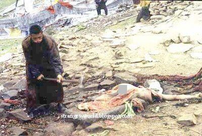 tibetian_death_006.jpg
