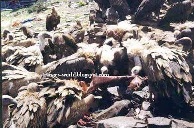 tibetian_death_010.jpg