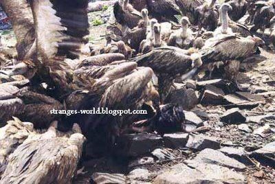 tibetian_death_011.jpg