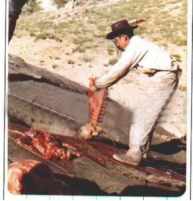 tibitian_man_death_002.jpg