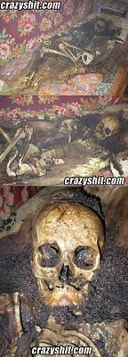 011910-skull-bones.jpg