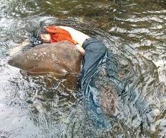 drown296.jpg