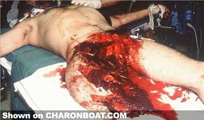 charonboat_dot_com_shark_attack2.jpg