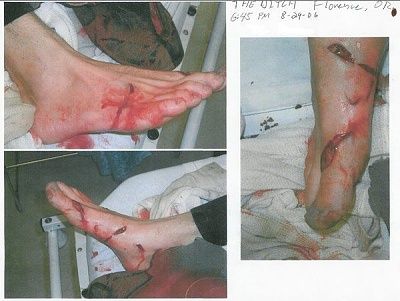 oregon-shark-attack.jpg