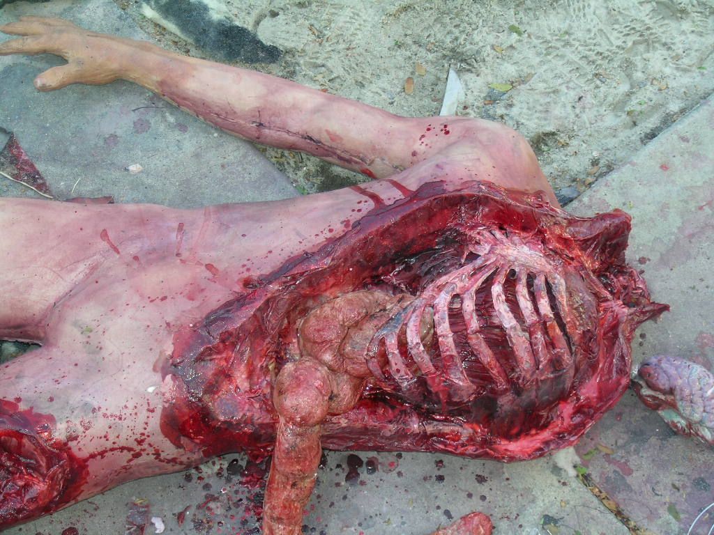 DIY_Mutilated_Corpse_07_more_blood_and_guts.jpg