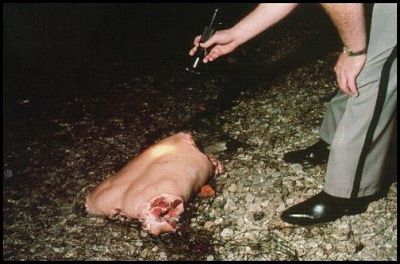deadbodiesimage18.jpg