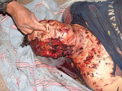 man_killed_by_jaguar_2.jpg