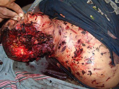 man_killed_by_jaguar_3.jpg