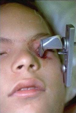 random_collection_of_gore_010.jpg