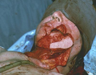 random_collection_of_gore_017.jpg