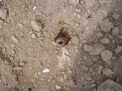 iraqi4.jpg