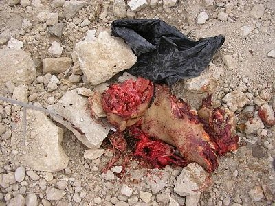 iraqi-5-husabaya-.jpg