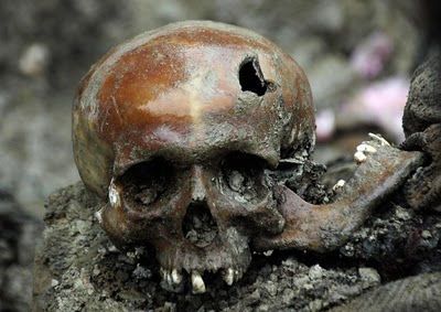 skulls_other_stuff_008.jpg