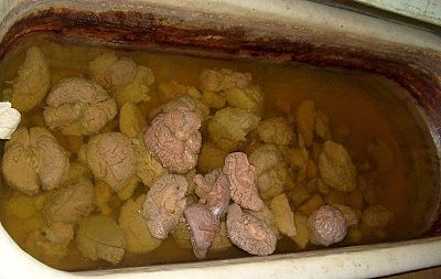 tub-o-brains.jpg