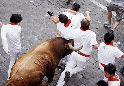 the_bull_wins_019.jpg