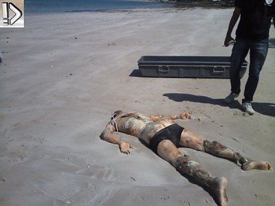 beach.jpg