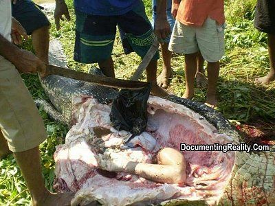 man-20eaten-20by-20anaconda-20in-20brazil-202.jpg