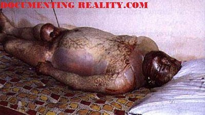 rottenbody1.jpg