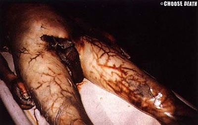 forensic9.jpg