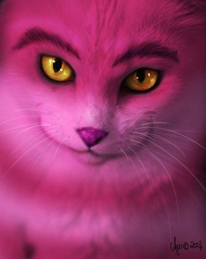 cheshire cat.jpg