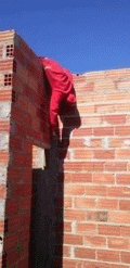 Name:  anix.gif
Views: 1084
Size:  20.7 KB