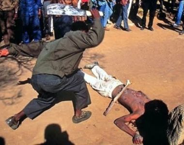 machete-20killing-20anc.jpg