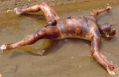 042108_dead_bloated.jpg
