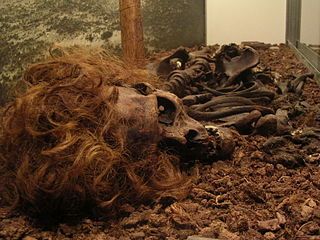 320px-The_Bocksten_Bog_Man_2.jpg