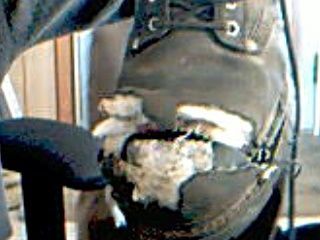 steeltoe1.jpg