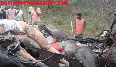 bodies-mangled-road-brazil-car-acciden04.jpg