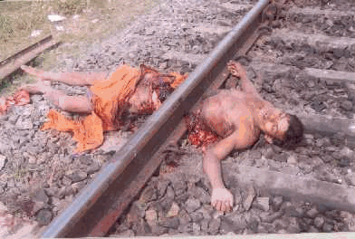 Image408.gif