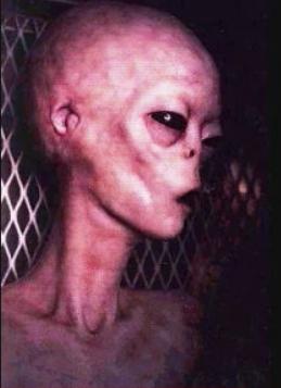 alien-3.jpg