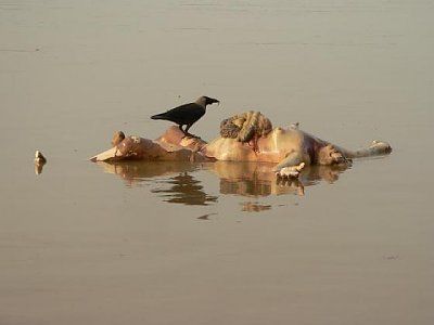 india-photos-24.jpg