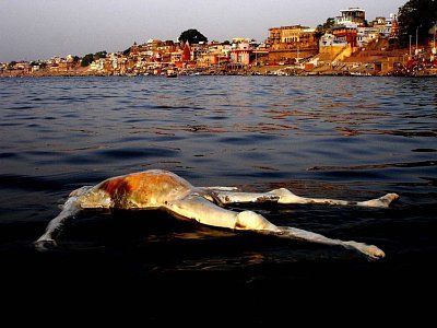 india-photos-36.jpg