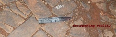 fi1.jpg