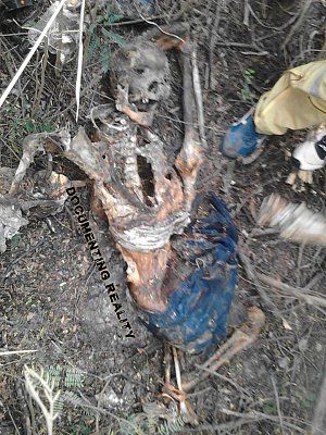 remains-found-school-thailand-01.jpg