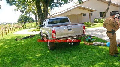 lawn100.jpg