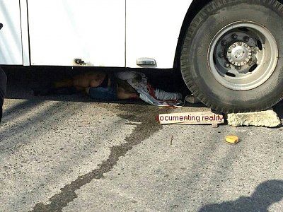 bus2.jpg